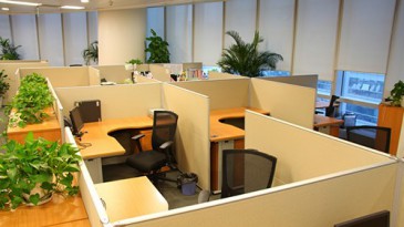 Ghế xoay văn phòng có bánh xe - văn phòng doanh nghiệp, phòng hội nghị, văn phòng bất động sản